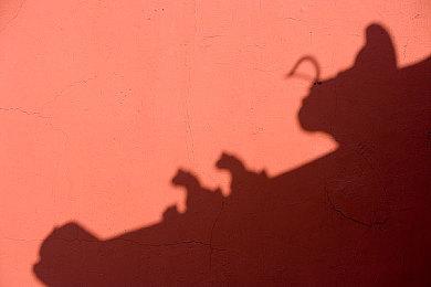 《FF16》推动SE销售额增长 但开发成本使利润下降